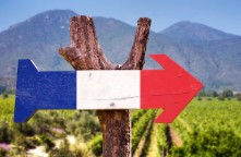 Wine has been made in Corsica for more than 2,500 years