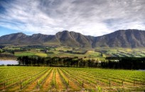 South Africa has many wine regions, but a priority visit should be to the Hemel-en-Aarde Valley