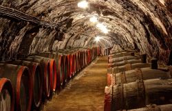 Wine is stored in the dark since light will cause the wine to age prematurely.